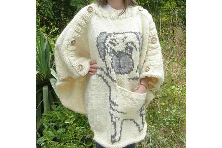 poncho bouledogue