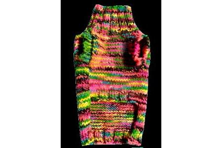 pull pour chien