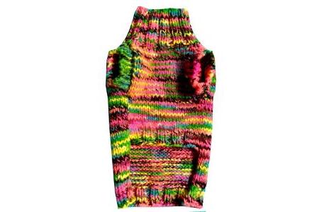 Pull pour chien