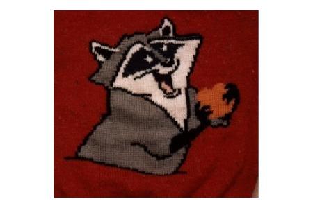 pull raton laveur