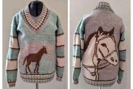 pull jacquard cheval