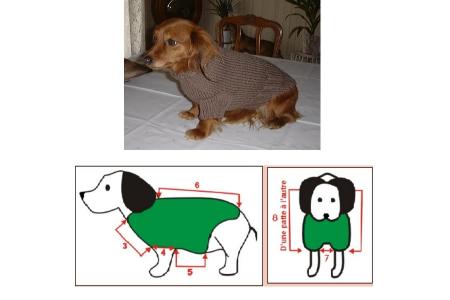 pull pour chien