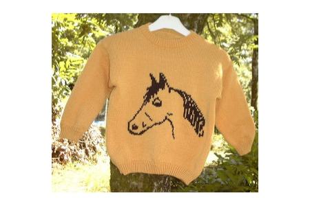 pull enfant cheval brodé