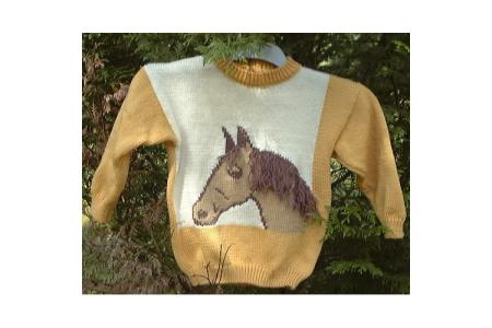 pull enfant cheval à franges