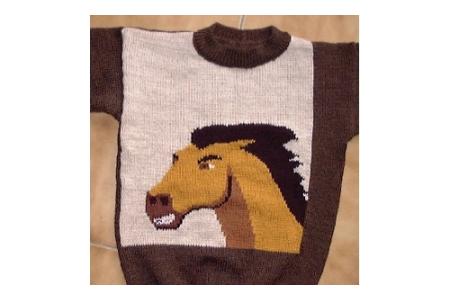 pull enfant cheval