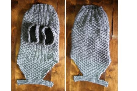 pull pour chien en Numero1