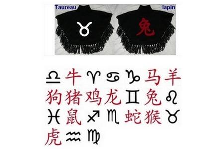 poncho signes astrologiques